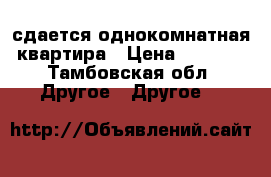 сдается однокомнатная квартира › Цена ­ 6 500 - Тамбовская обл. Другое » Другое   